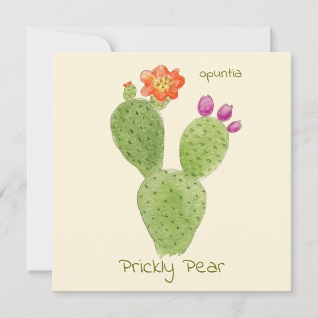 Prickly Pear Cactus greeting card (Front)