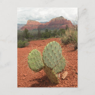 Prickly pear cactus in Sedona, Arizona - Postcard