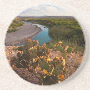 Prickly Pear Cactus (Opuntia Sp.) Coaster