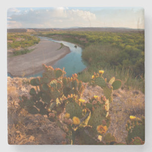 Prickly Pear Cactus (Opuntia Sp.) Stone Coaster