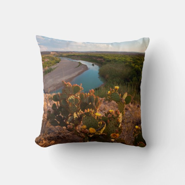 Prickly Pear Cactus (Opuntia Sp.) Throw Pillow (Front)