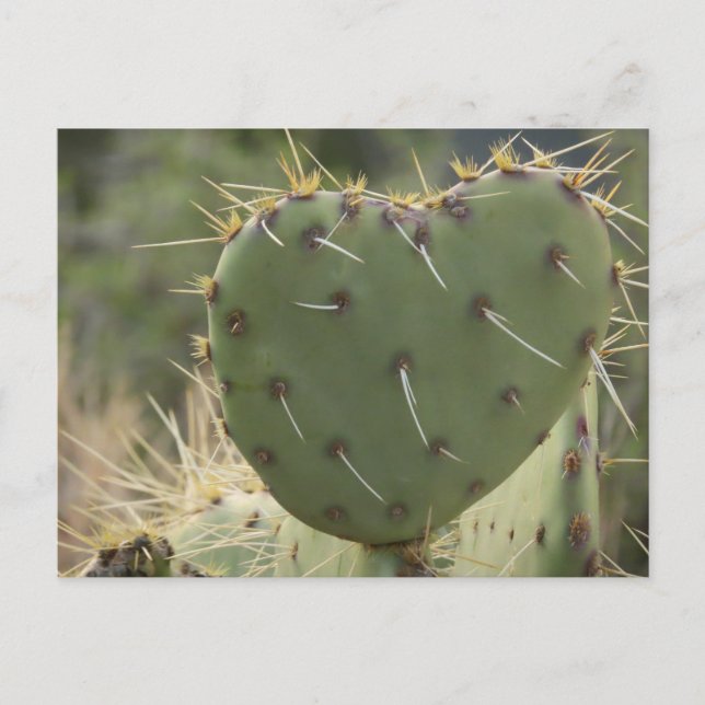 Prickly Pear Heart Postcard (Front)