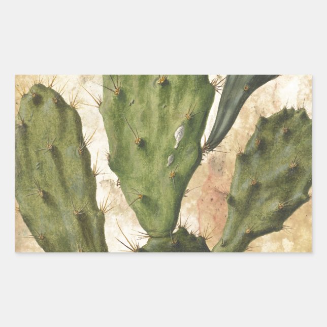 Prickly Pear Sticker (Front)