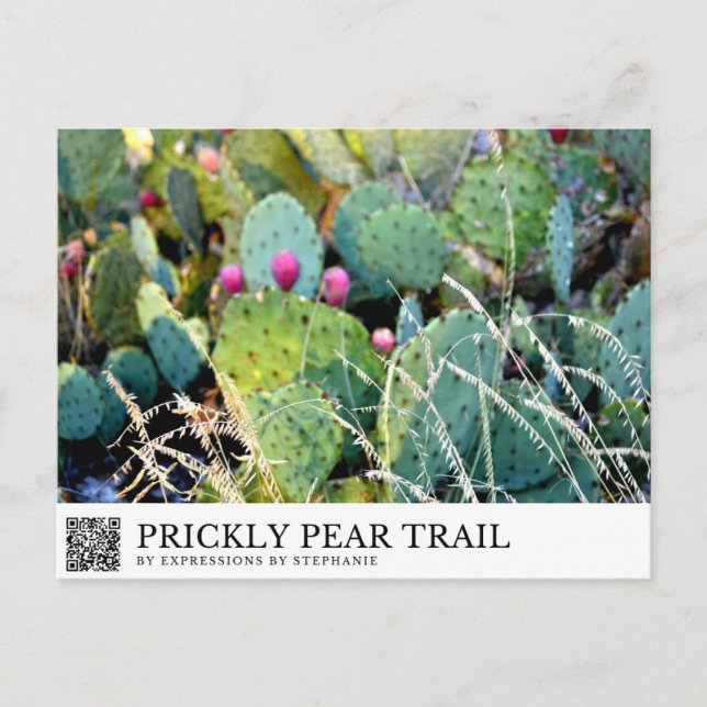 Prickly Pear Trail Postcard (Front)