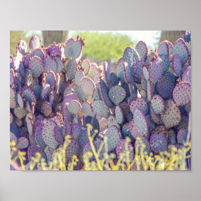 Prickly Pears | Poster (Devant)