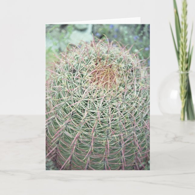 Prickly Pink Swirl Cactus Greeting or Note Cards (Front)