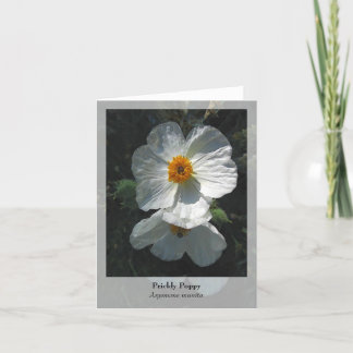 Prickly Poppy - Native Notecard