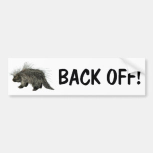 Prickly Porky Bumper Sticker