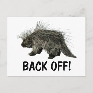 Prickly Porky Postcard