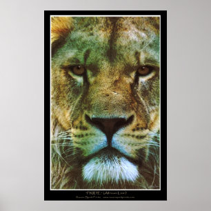 "PRIDE" African Lion Poster Print