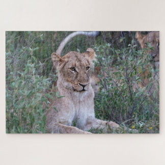 Pride Guardian – Resting Lioness Jigsaw Puzzle