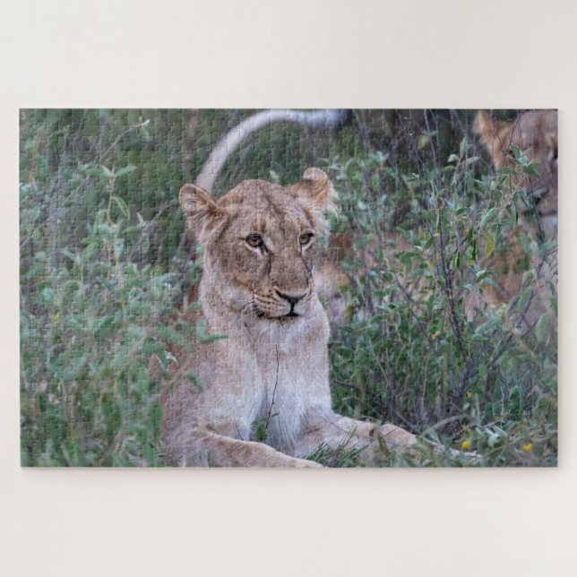 Pride Guardian – Resting Lioness Jigsaw Puzzle (Horizontal)