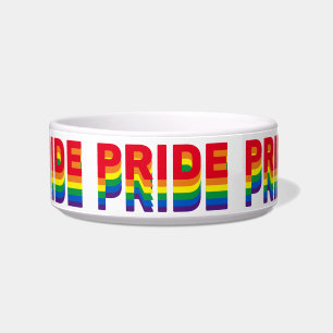 Pride lgbt lgbtq queer gay rainbow retro colours bowl