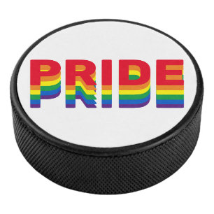 Pride lgbt lgbtq queer gay rainbow retro colours hockey puck