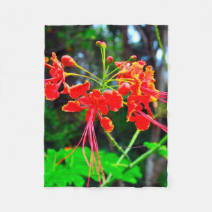 Pride of Barbados   Fleece Blanket