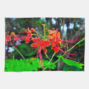Pride of Barbados Kitchen Towel