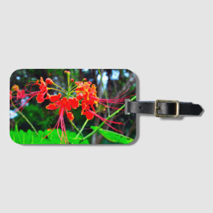 Pride of Barbados   Luggage Tag