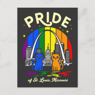 Pride of St. Louis City Missouri Cats Rainbow Fla Postcard