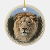 Pride of The Lion