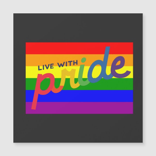 pride rainbow flag         (Front)