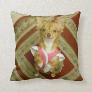 prier le coussin de coton de chiwawa