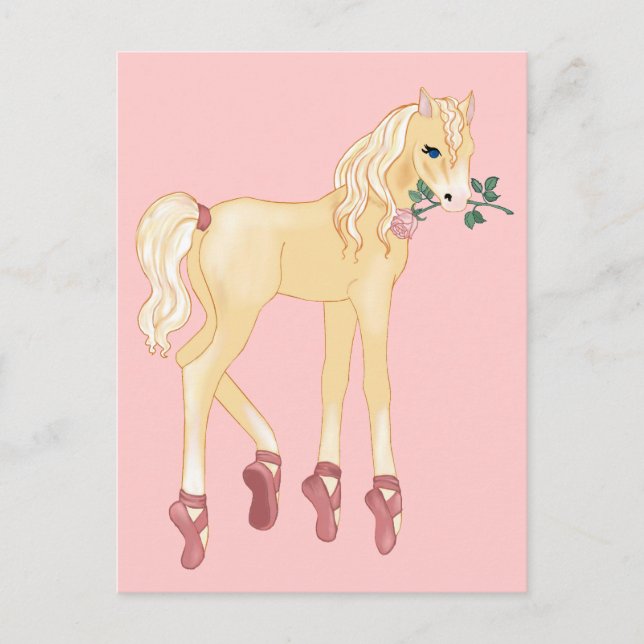 Prima Donna Palomino Postcard (Front)
