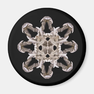 Primal Scream Magnet