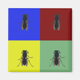 Primary Wings Magnet