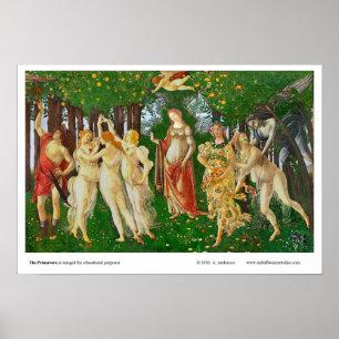 PRIMAVERA re-imaged for educational purposes Poster