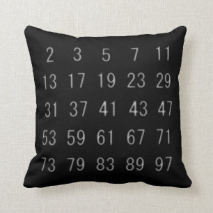 Prime Numbers Pillow Mathematics Geek Cushion gift