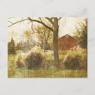 Primitive Country Tree Farm Red Cabin in the woods Postcard