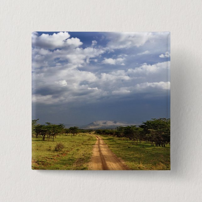 Primitive dirt road across the northern 2 inch square button (Front)
