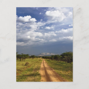 Primitive dirt road across the northern postcard
