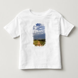 Primitive dirt road across the northern toddler t-shirt