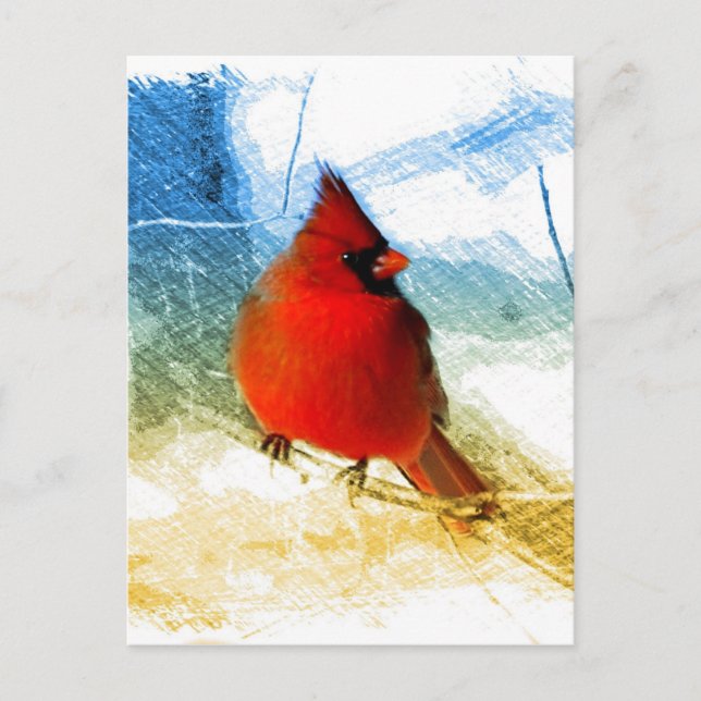 Primitive western country christmas red cardinal holiday postcard (Front)