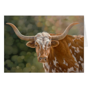 "Primo" - Texas Longhorn