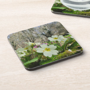 Primrose Cork Coasters