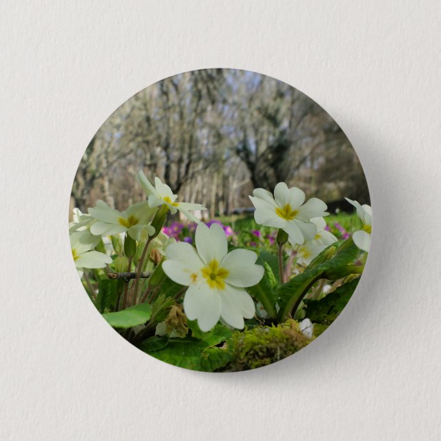 Primrose (Primula vulgaris) Badge 2 Inch Round Button (Front)
