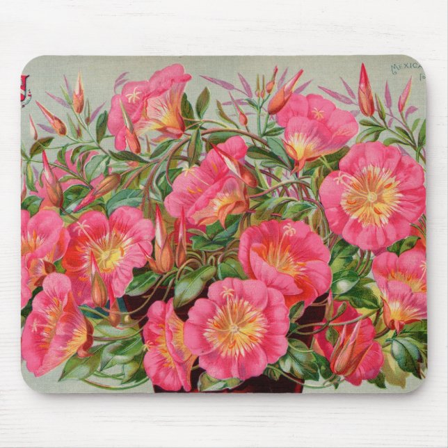 Primrose Seed Packets Mousepad (Front)