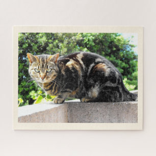 Primrose, the tabby cat jigsaw puzzle