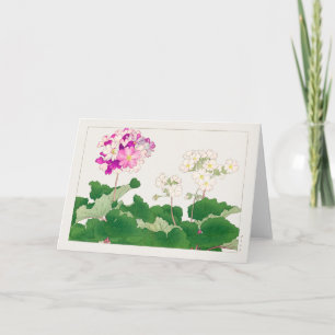 Primula by Tanigami Konan Card