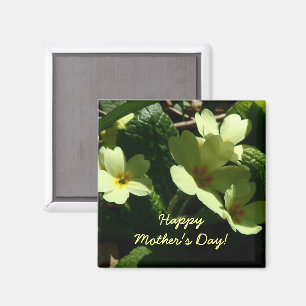 Primula vulgaris Primrose Mother's Day magnet