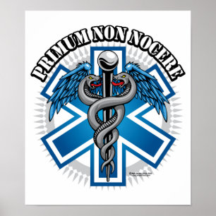 PRIMUM NON NOCENT Combat Medic Poster