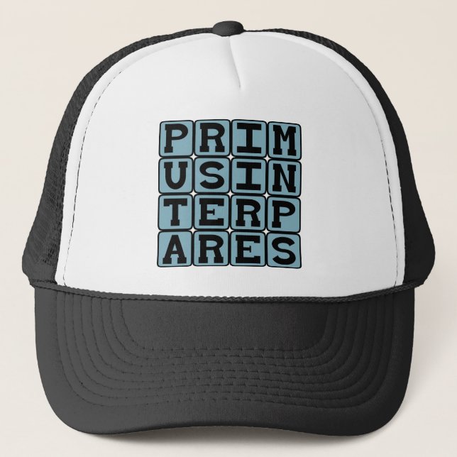 Primus Inter Pares, First Among Equals Trucker Hat (Front)