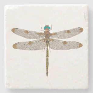 Prince Baskettail Dragonfly Coaster