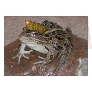 Prince de grenouille