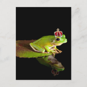 Prince frog postcard