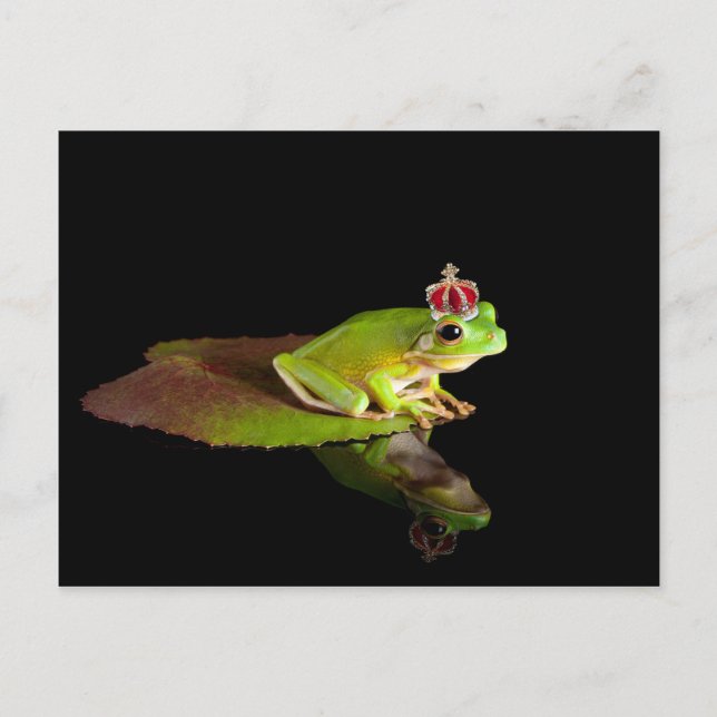 Prince frog postcard (Front)