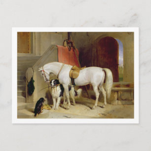Prince George's Favourites (oil on canvas) Postcard