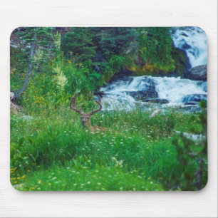 Prince of the Forest Mouse Pad